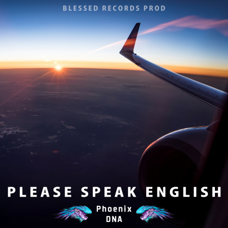 Phoenix DNA «Please Speak English» - сингл Intman 3798
