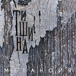Метанойя «Тишина» Intman 4624