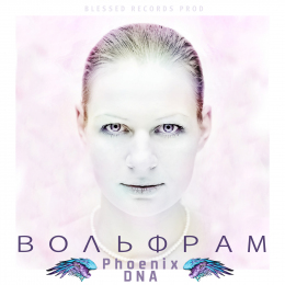 Phoenix DNA «Вольфрам» - сингл Intman 3800