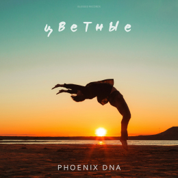 Phoenix DNA «Цветные» - сингл Intman 3803	