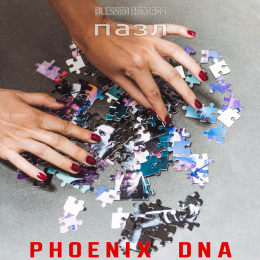 Phoenix DNA «Пазл» - сингл Intman 3797