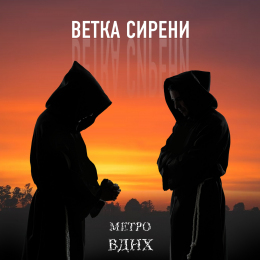 Метро ВДНХ «Ветка Сирени» - сингл Intman 3986