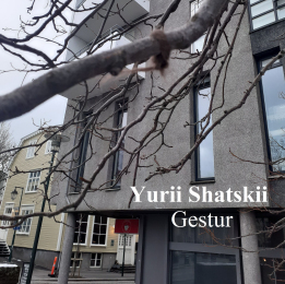 Yurii Shatskii «Gestur (David Stefansson)» - сингл Intman 4523